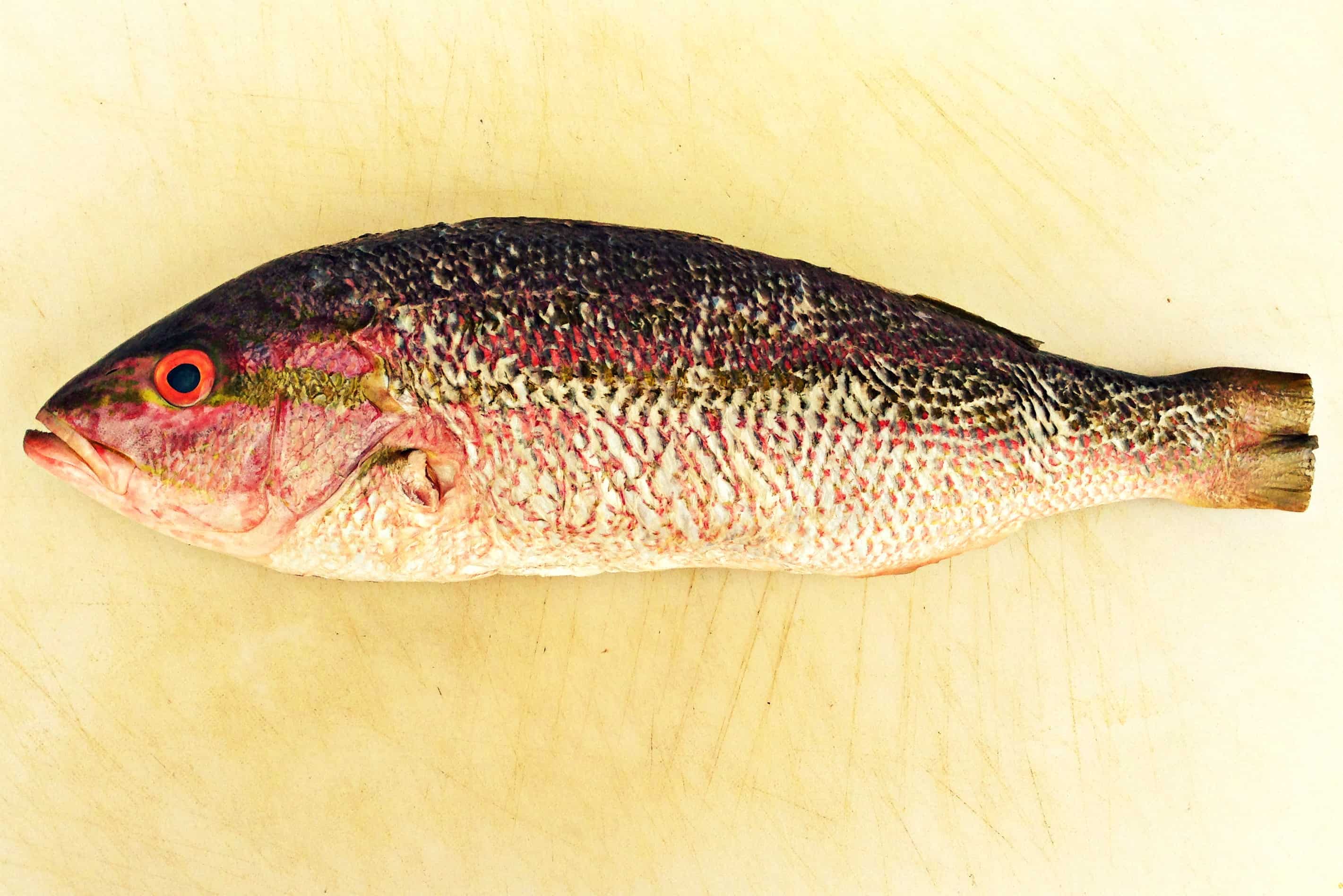 A whole fresh snapper on a cutting board.