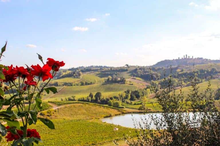 Fattoria Poggio Alloro, San Gimignano, Tuscany, Italy
