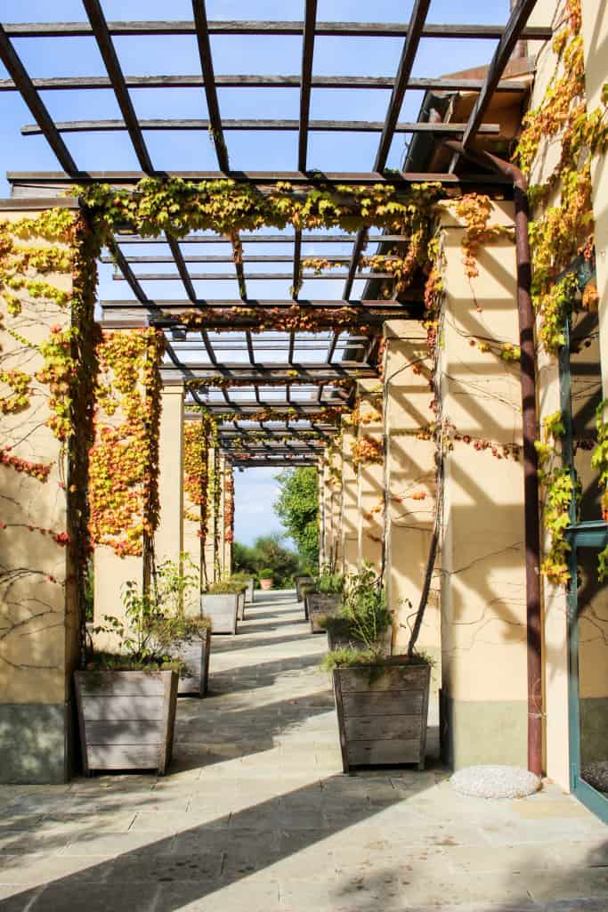 Castiglion del Bosco, Tuscany, Italy