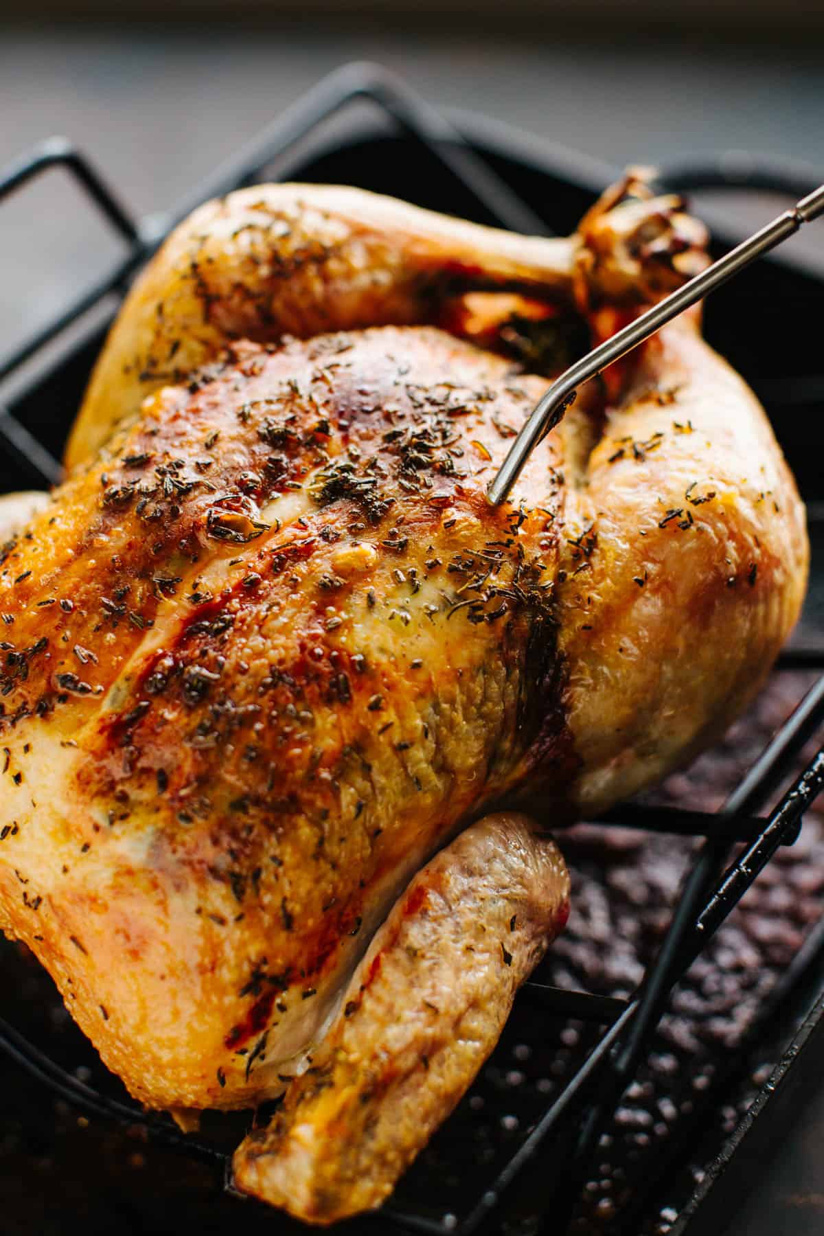 close up of browned whole roasted chicken in roasting pan with thermometer stuck inside