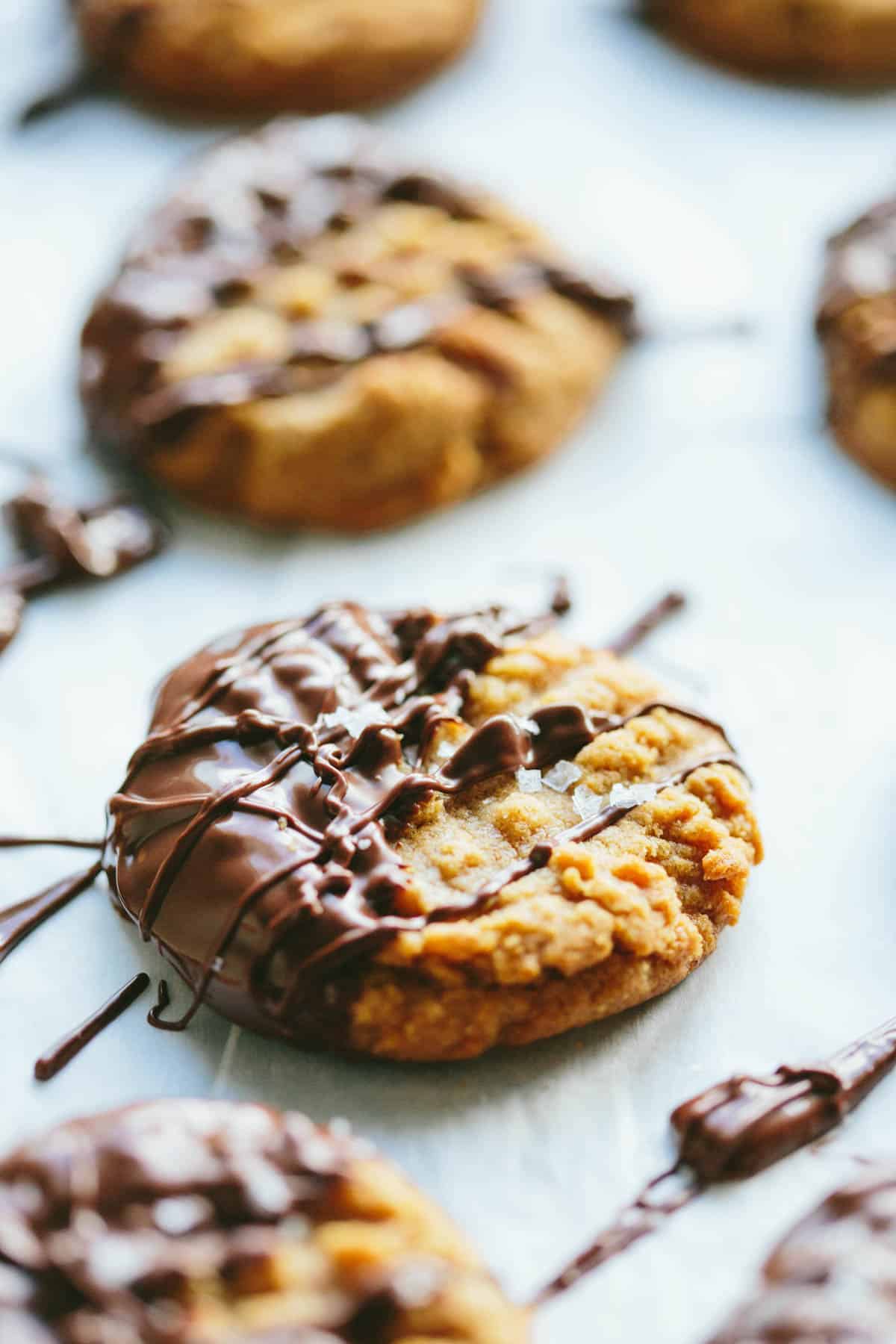 Closeup of a single peanut butter cookie that has been half dipped in chocolate.
