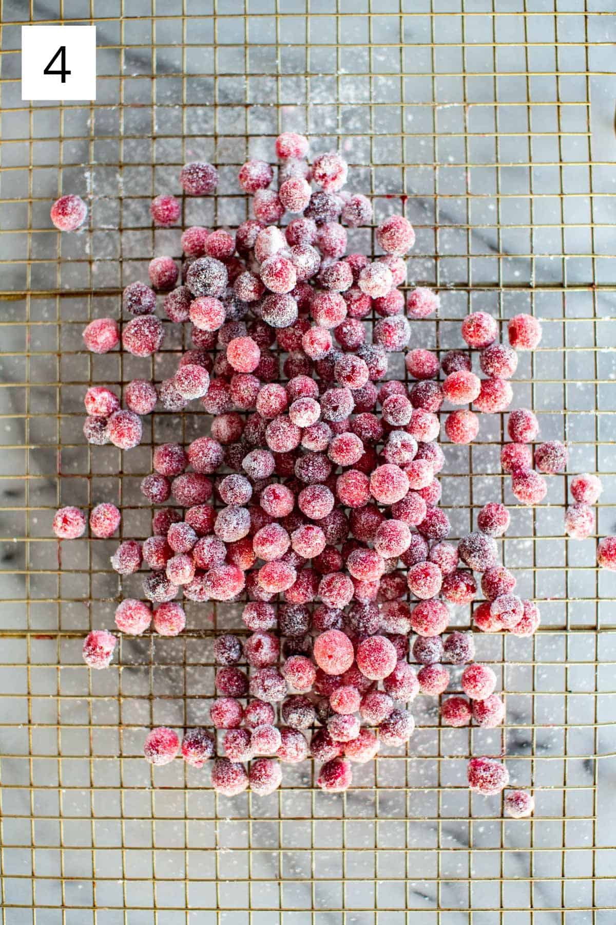 Overhead shot of sugared cranberries drying on a rack.