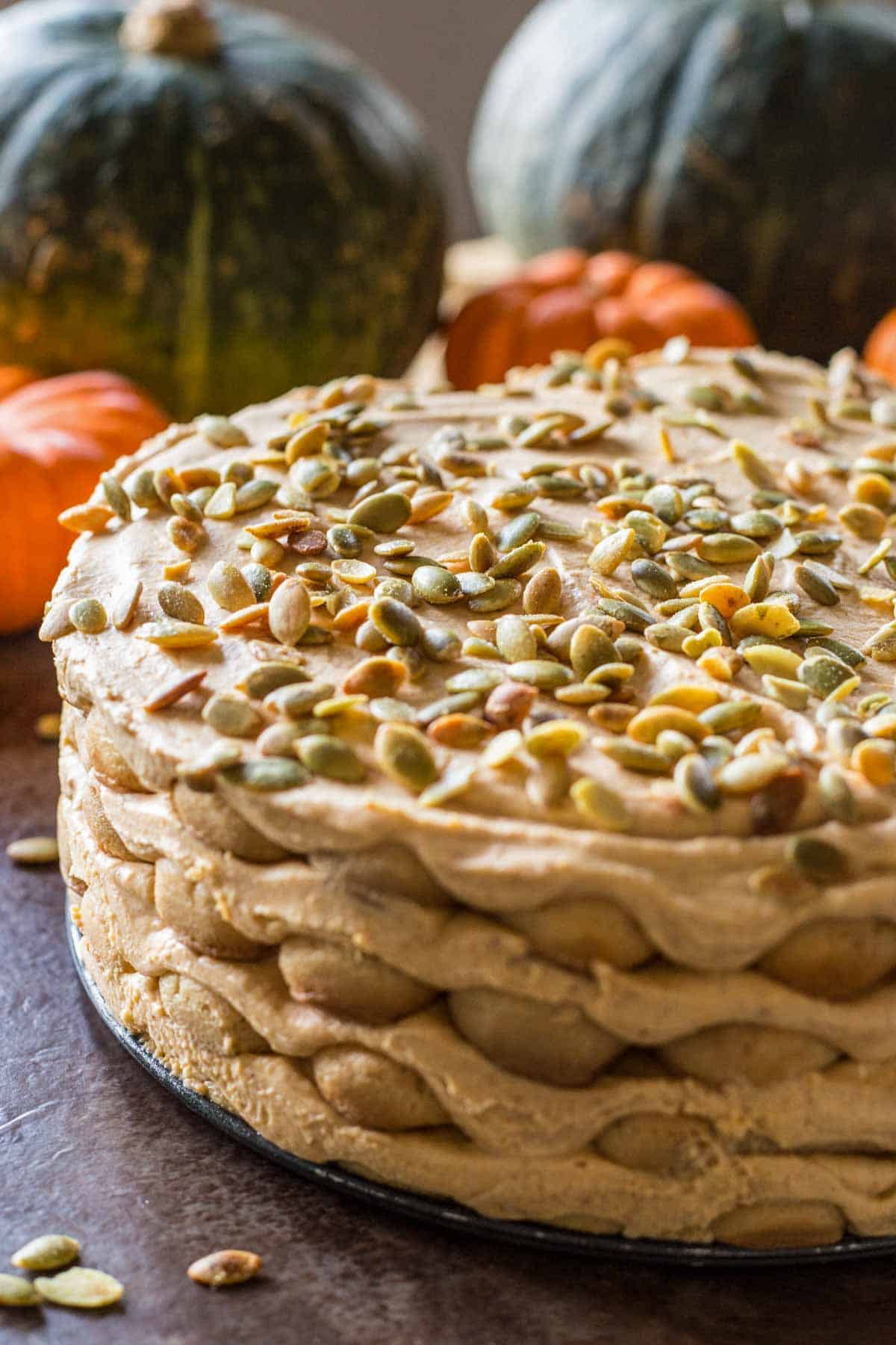 Side view of pumpkin tiramisu cake.