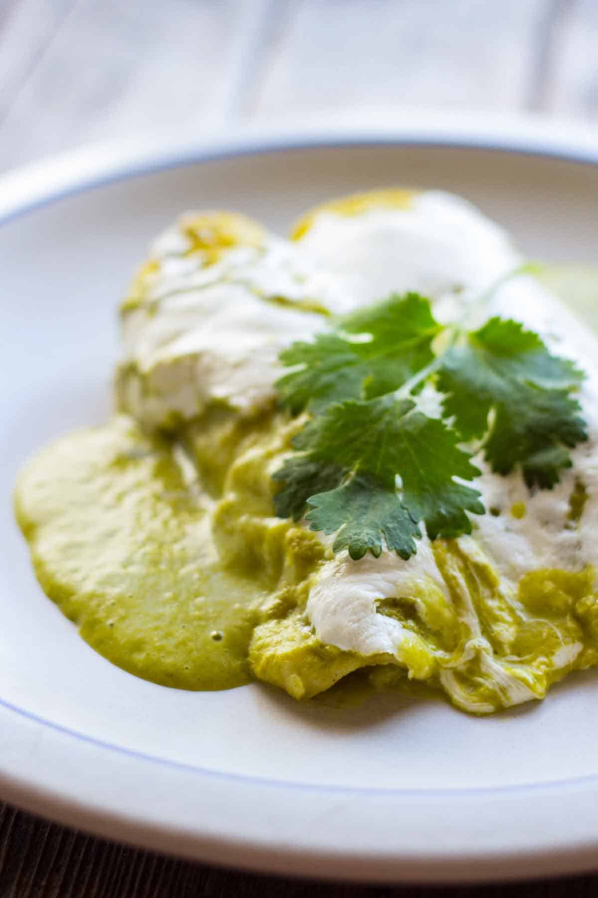 Close up of enchiladas verdes on a plate with cilantro garnish.