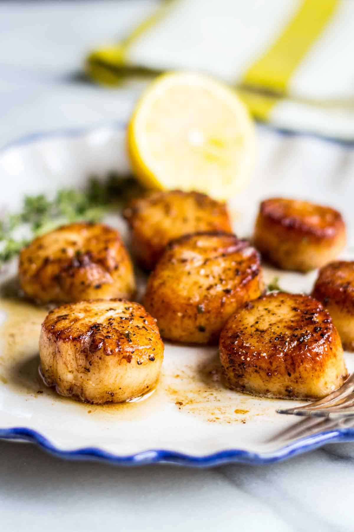 Side view close up of seared scallops on a plate with a fork.
