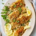 Top view of a large platter of flounder oreganata with lemon slices.
