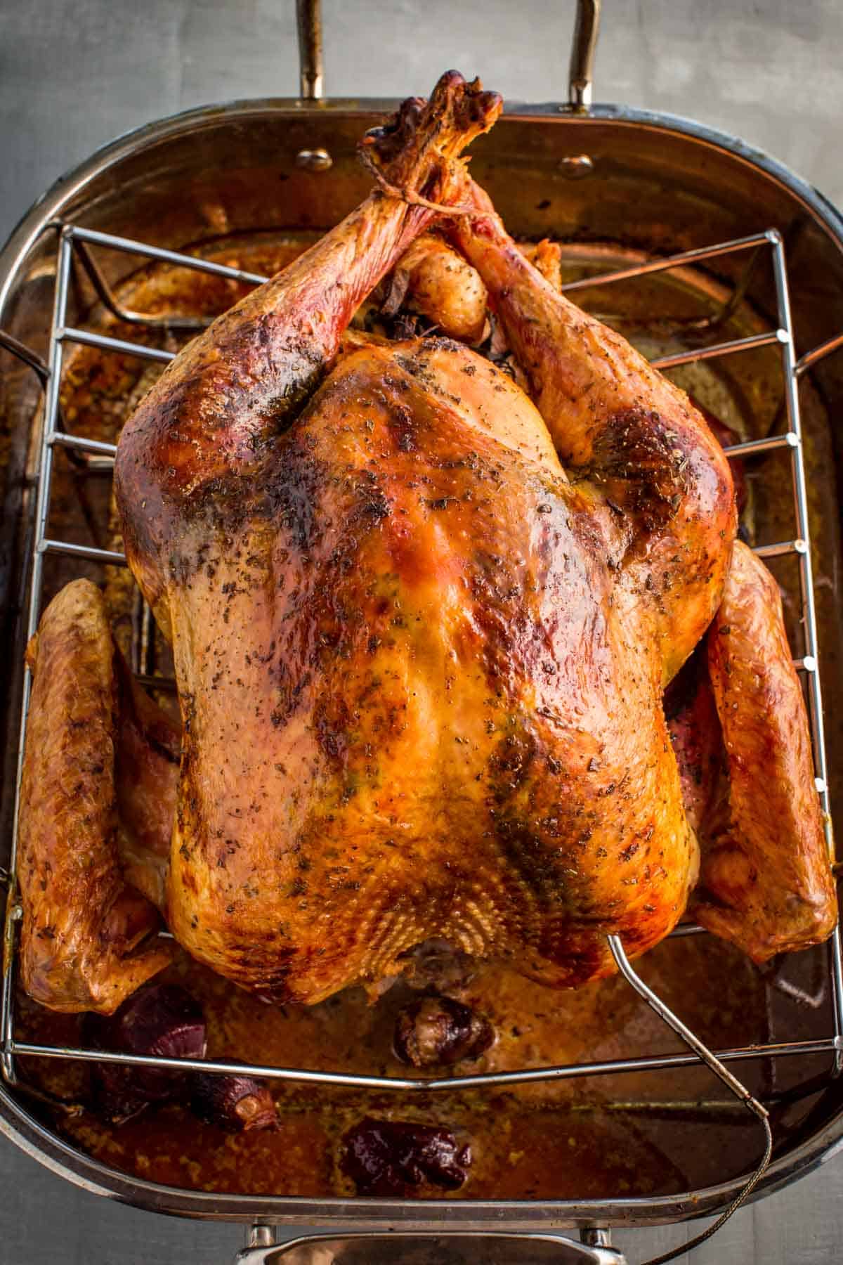 A roasted Italian style turkey resting on a rack in a roasting pan.