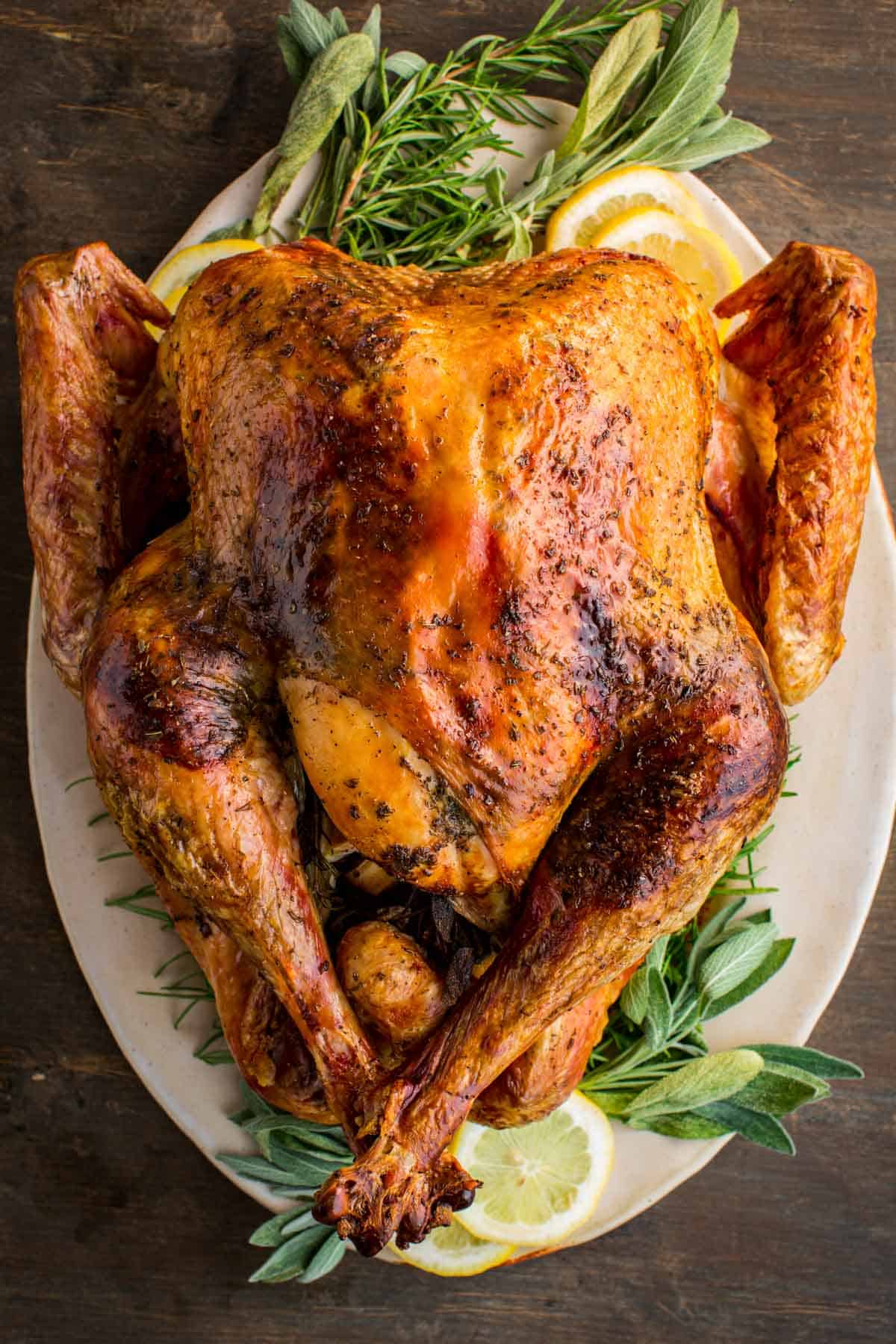 An Italian style roasted whole turkey on a platter with fresh herbs and lemon slices.