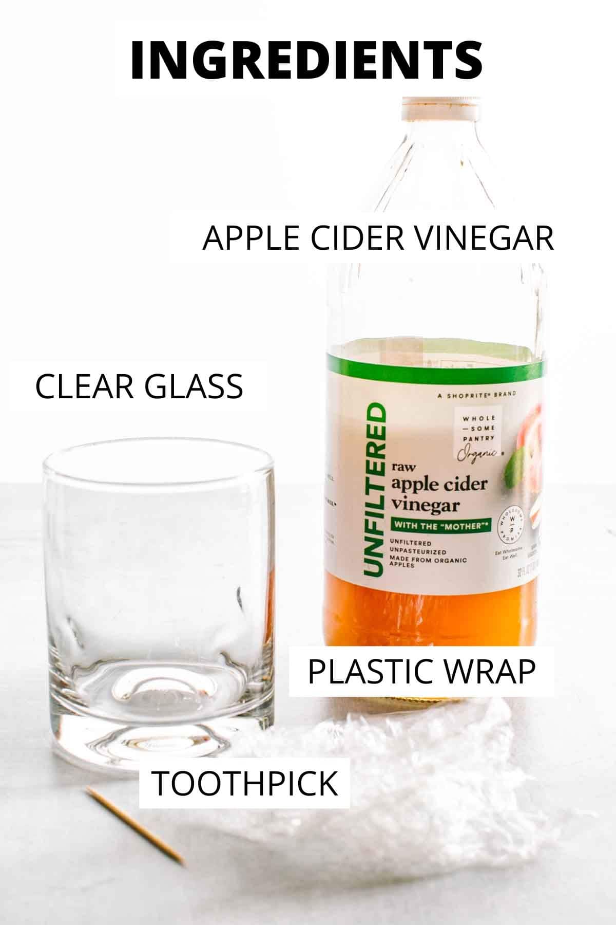 Supplies needed for a homemade fruit fly trap.
