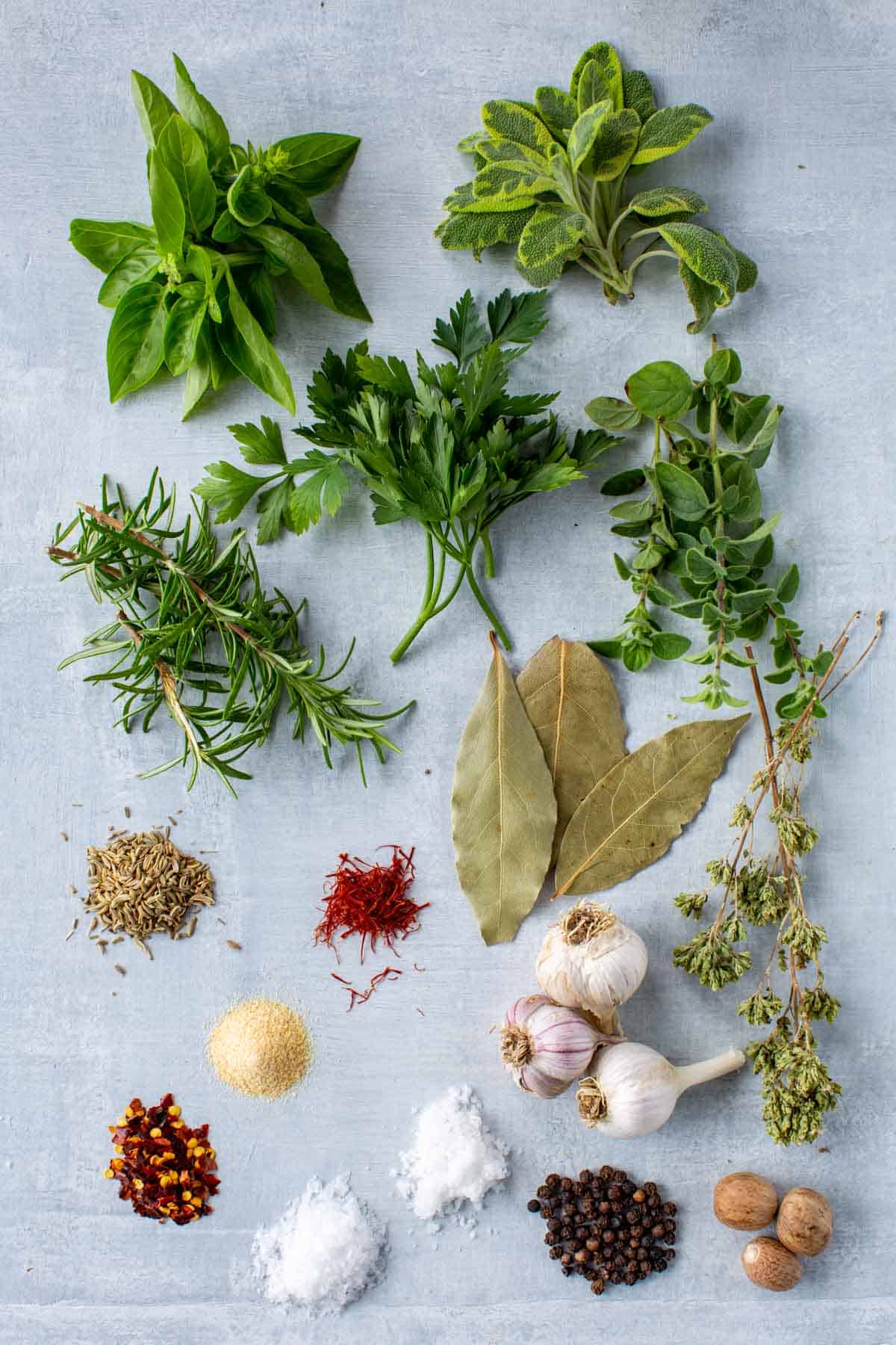 Assorted herbs and spices used in Italian cooking.