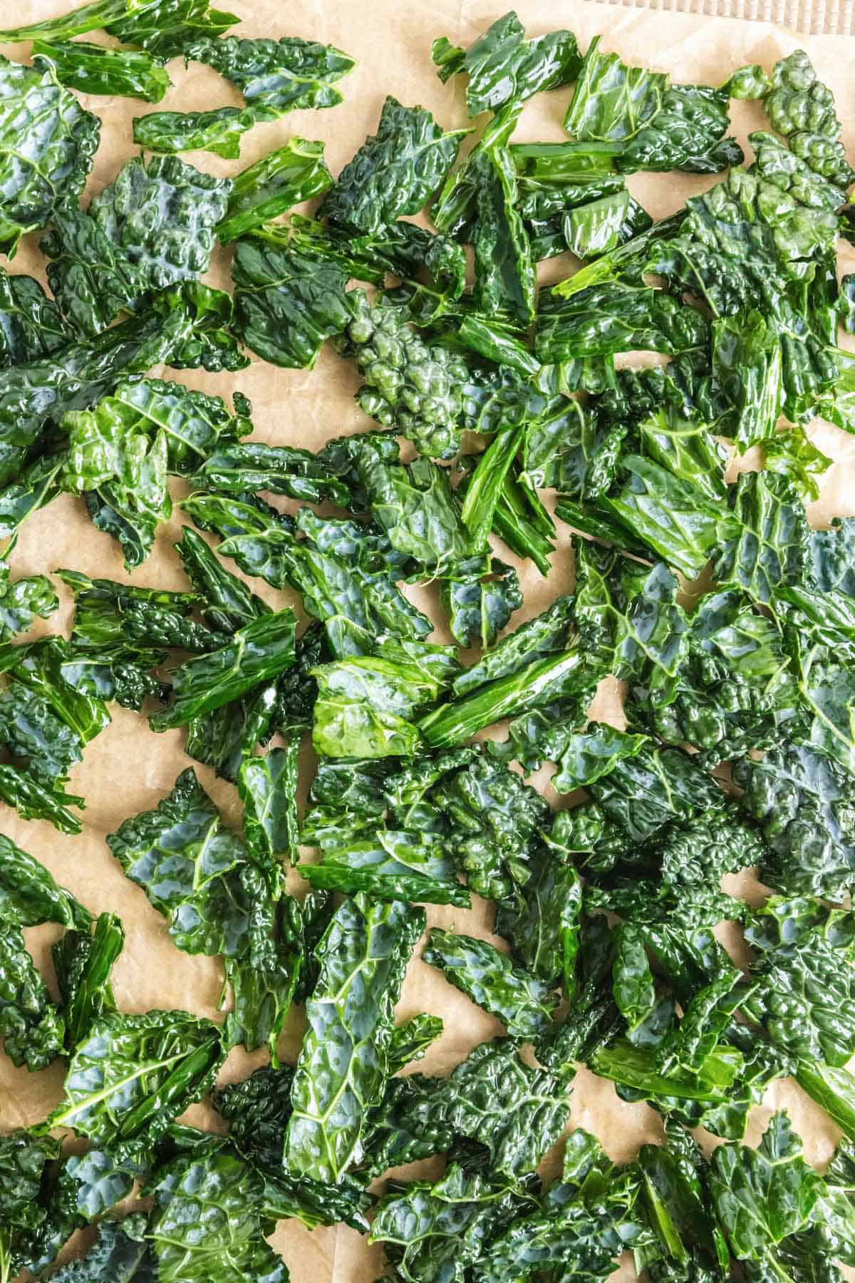 Kale leaves on a sheet pan.