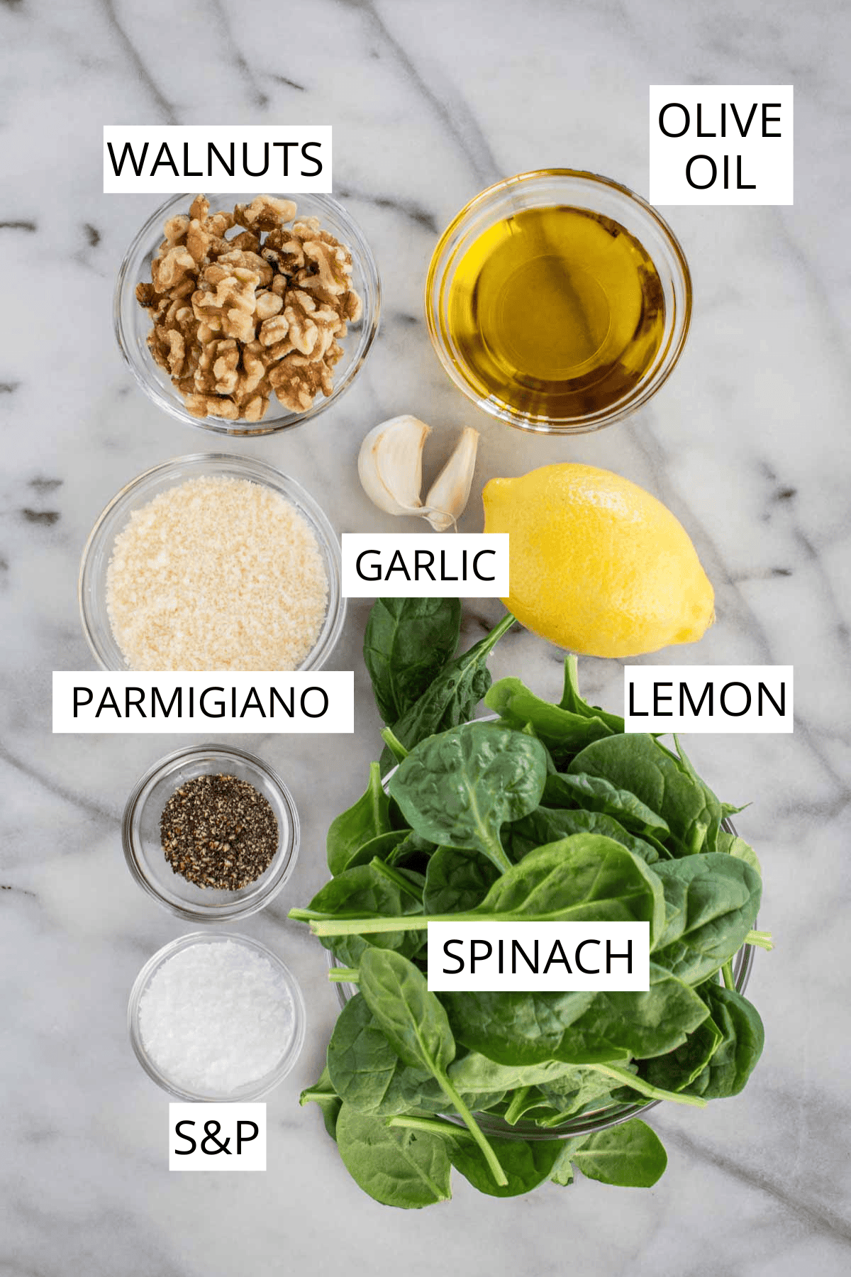 Ingredients for spinach walnut pesto arranged on white marble: bowl of walnuts, olive oil, Parmesan cheese, garlic cloves, lemon, fresh spinach leaves, salt and pepper.
