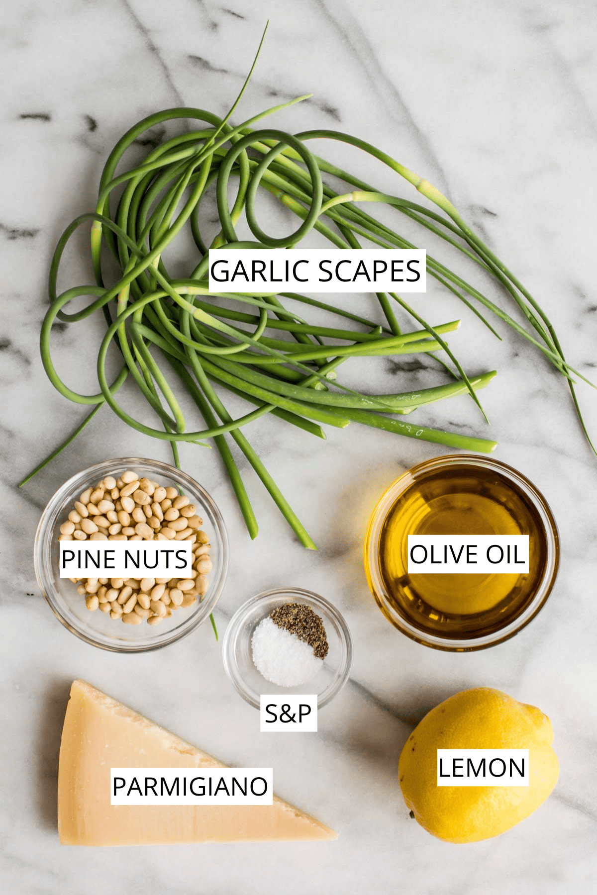 Flat lay of labeled garlic scape pesto ingredients on a marble surface, including a bundle of curly green garlic scapes, a glass bowl of golden olive oil, a wedge of Parmigiano cheese, a lemon, a small dish of salt and pepper, and a bowl of pine nuts.