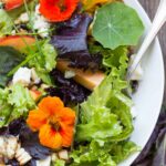 Overhead view of a vibrant salad with leafy greens, nectarines, blue cheese, chopped grilled corn, and orange nasturtium flowers.
