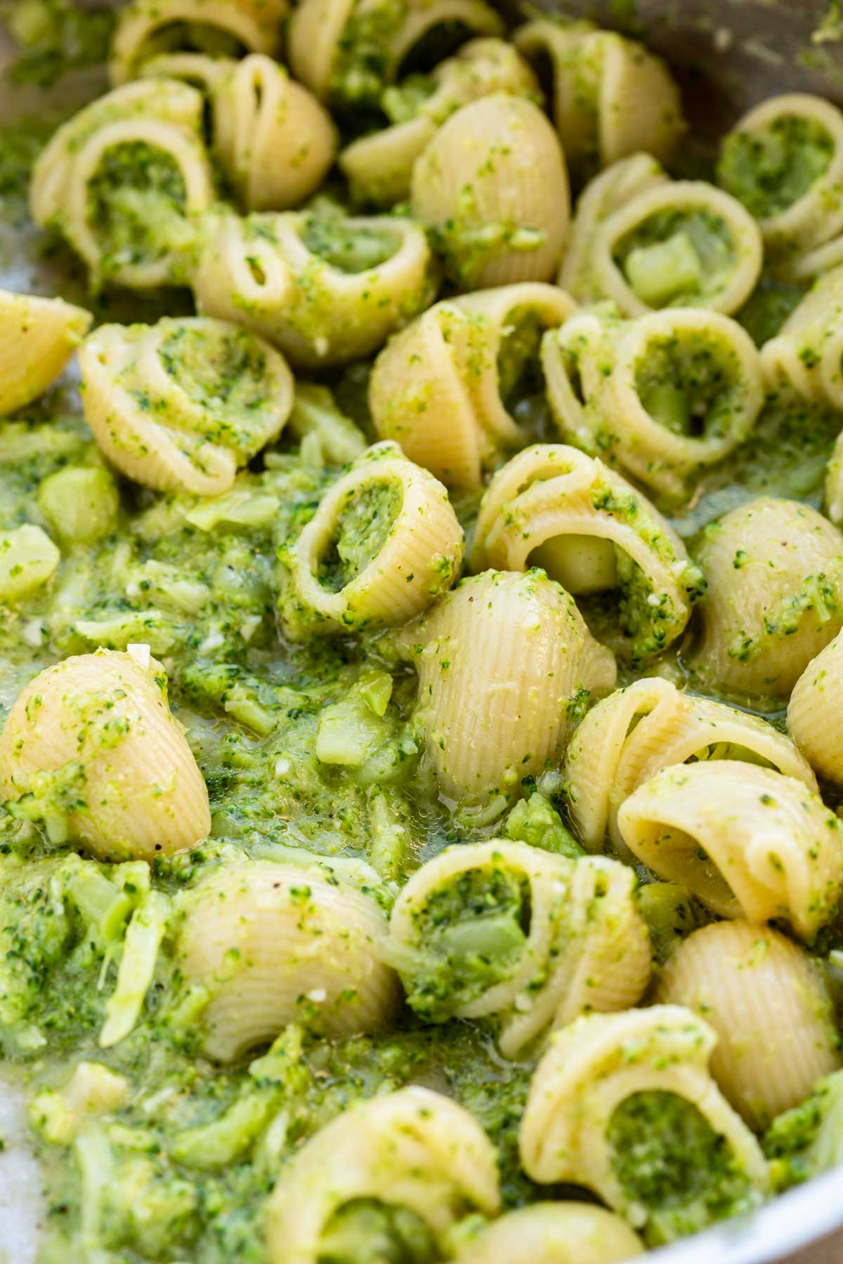 Tight close up of ridged shell pasta filled with mashed broccoli sauce, showing the creamy texture clinging to each piece.