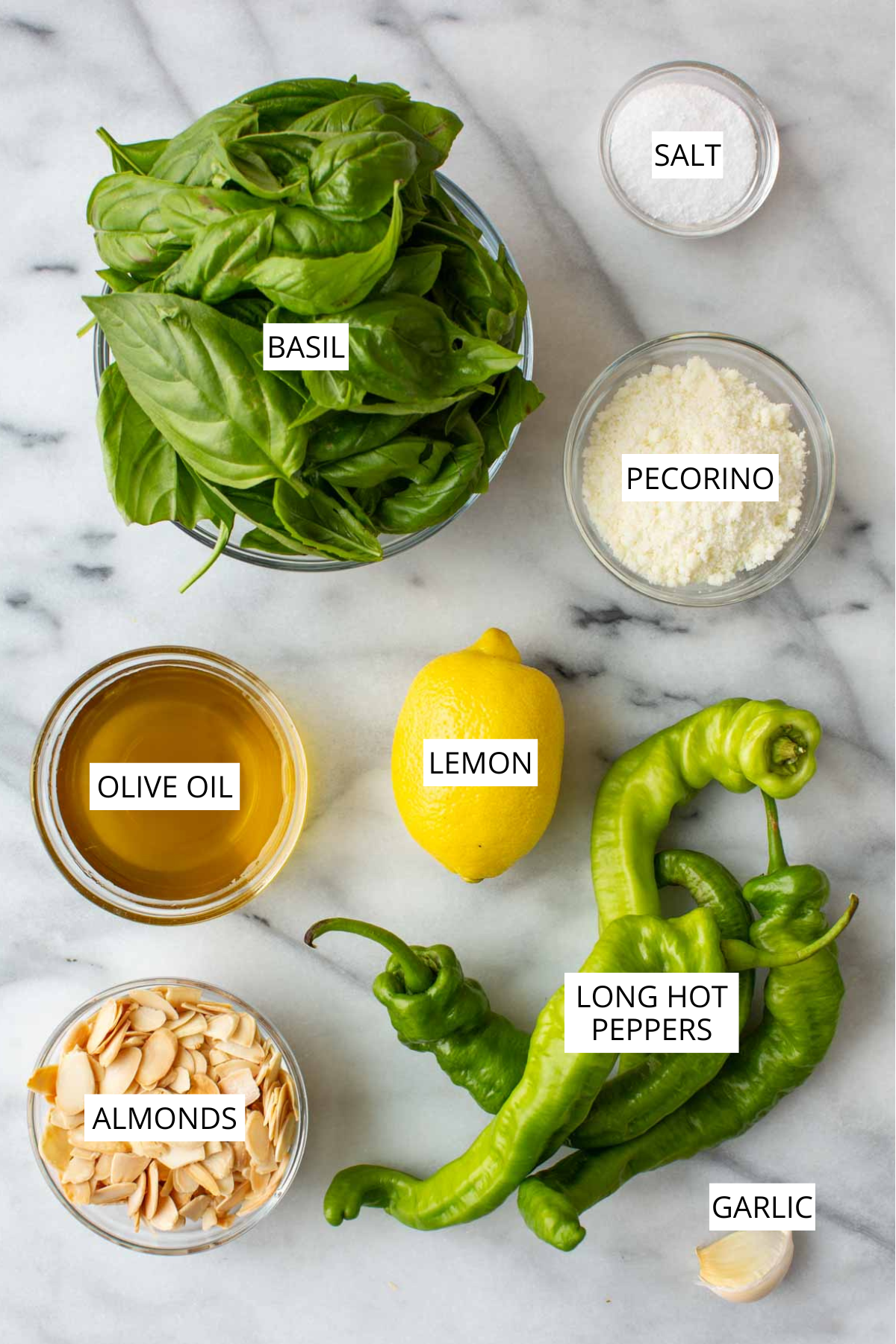 Overhead shot of labeled ingredients for long hot pepper pesto: fresh basil, pecorino, olive oil, a lemon, sliced almonds, long hot peppers, and a garlic clove, arranged in small bowls on a marble surface.